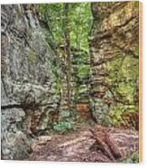 Towering Whipps Ledges Dominates Wood Print