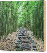 Trail Through Bamboo Forest Wood Print