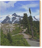 Trail To Artist Point Mount Baker Wood Print