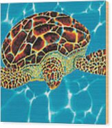 Caribbean Sea Turtle Wood Print