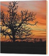 Tree At Sunset Wood Print