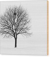 Tree In Winter Landscape, Black And Wood Print