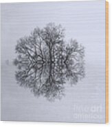 Tree Of Reflection Wood Print