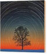 Tree Silhouette With Star Trails Wood Print