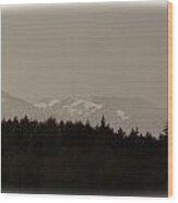 Treeline With Ice Capped Mountains In The Scottish Highlands Wood Print