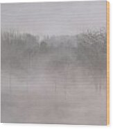 Trees In Fog Wood Print