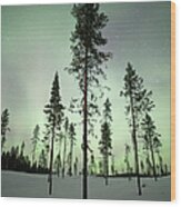 Trees With Aurora Borealis Wood Print