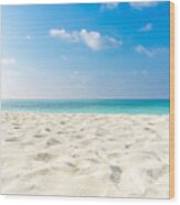 Tropical Beach Sea Sand Sky And Summer Day. Empty Sea And Beach Background With Copy Space Wood Print