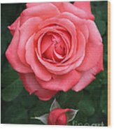 Tropicana Rose Wood Print