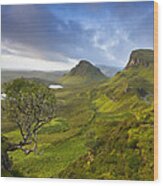 Trotternish Ridge Wood Print