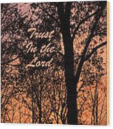 Trust In The Lord Wood Print
