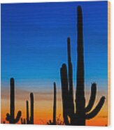 Tucson Sunset Photograph by Chris Austin - Fine Art America