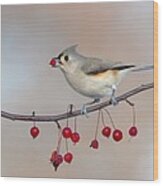 Tufted Titmouse With Red Berry Wood Print