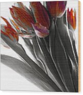 Tulip Color Block Wood Print