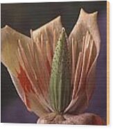 Tulip Tree Flower Wood Print