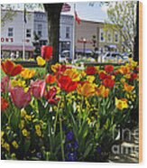 Tulips In The Spring #1 Wood Print