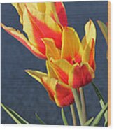 Tulips Wood Print