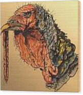 Turkey Head Bird Wood Print