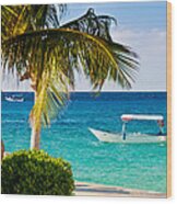 Turquoise Waters In Cozumel Wood Print