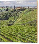 Tuscany-italy Wood Print