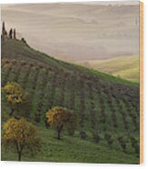 Tutte Le Strade Portano A Belvedere Wood Print