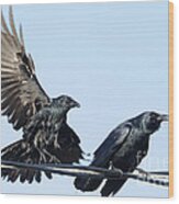 Two Crows On A Wire Wood Print