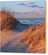 Two Dunes At Sunset - Outer Banks Wood Print