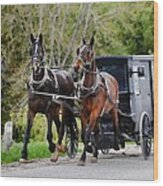 Two Horses And Covered Buggy Wood Print