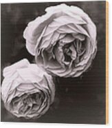 Two Roses Wood Print