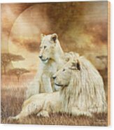 Two White Lions - Together Wood Print