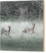 Two Whitetail Fawns Running Wood Print