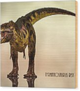 Tyrannosaurus Rex Dinosaur Wood Print