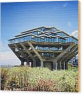 Ucsd Geisel Library Wood Print