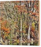 Ultimate Cypress Panoramic Wood Print