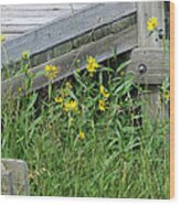 Under The Boardwalk Wood Print