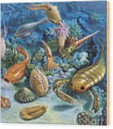 Underwater Life During The Paleozoic Wood Print