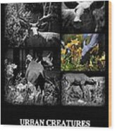 Urban Creatures Wood Print