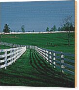 Usa, Kentucky, Lexington, Horse Farm Wood Print