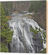 Usa, Wyoming, Waterfall, Yellowstone Wood Print
