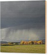 Utah Storm - 2 Wood Print