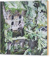 Valley Of The Mills Wood Print
