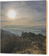 Valley Of The River Danube Wood Print