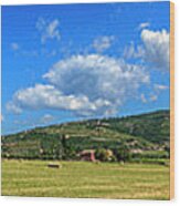 Valpolcella Fields, Italy Wood Print