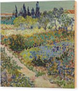 Van Gogh Garden At Arles Wood Print