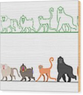 Various Monkey Walking In A Row Wood Print