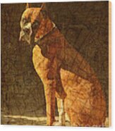 Vermeer's Dog Wood Print