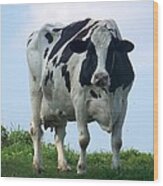 Vermont Dairy Cow Wood Print