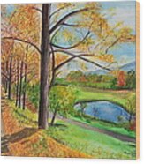 Vermont In The Fall Wood Print