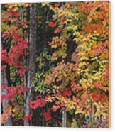 Vermont October Woods Wood Print