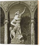Versailles Colonnade And Sculpture Wood Print